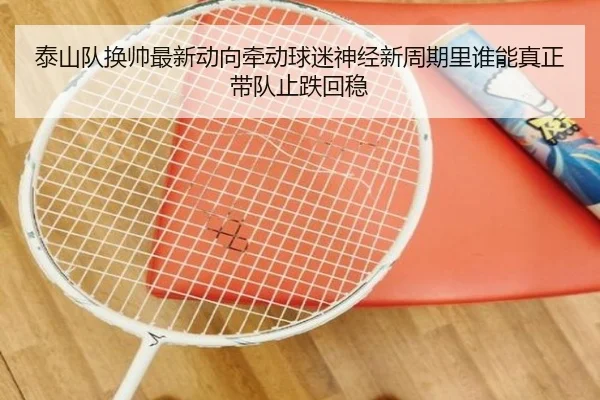 泰山队换帅最新动向牵动球迷神经新周期里谁能真正带队止跌回稳